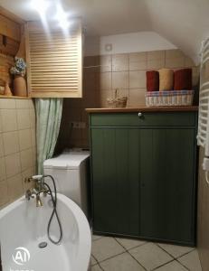 科尼亚库夫Chatka Koniaków 7的浴室设有卫生间旁的绿色橱柜