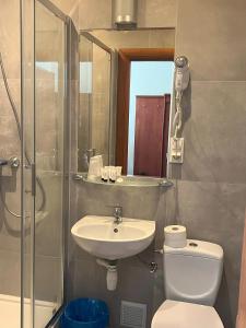克拉科夫Hotel Vistula的一间带水槽、卫生间和淋浴的浴室