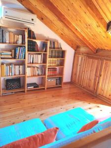 扎金索斯镇Cute attic appartment in the heart of Zante town的带沙发和书架的客厅