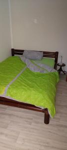 BobbauZu Hause auf Zeit bei Marion的一张床上有绿毯的床