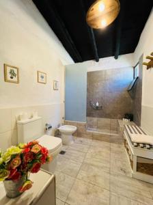 图努扬El Madejo - del Valle de Uco的浴室配有卫生间、盥洗盆和淋浴。
