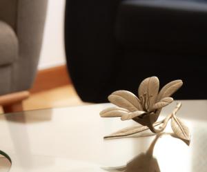 贝洛奥里藏特Apartamento Gutierrez 2的一张小木花坐在桌子上