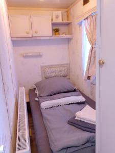 瓦莱德拉加努鲁伊Riverside Caravan的一间小卧室,在小房子里配有两张床