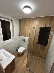 KrempnaKasi Polany的浴室配有卫生间、盥洗盆和淋浴。
