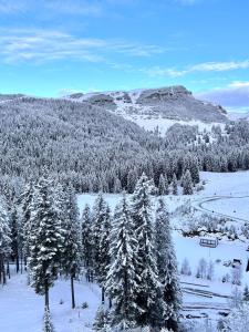 锡纳亚Hotel Pestera的享有雪覆盖的山林美景
