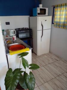 GualeguaychúLa Delia的厨房配有白色冰箱和植物