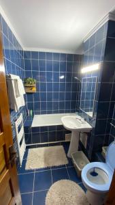 巴亚马雷Apartament doua camere的蓝色瓷砖浴室设有卫生间和水槽