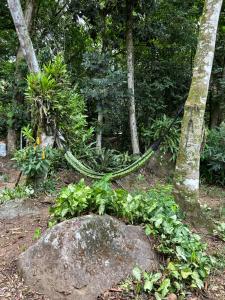 安格拉杜斯雷斯Chalé Ouro Verde的绿绳环绕着一棵树的花园