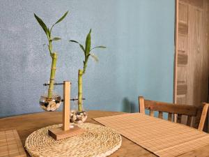 圣何塞德尔卡沃Casita Bambú cerca del aeropuerto SJD的一张木桌,上面有两株花瓶植物
