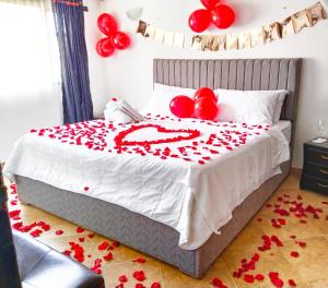 莱瓦镇casa Hotel la Tranquera的一间卧室,床上配有红色气球床