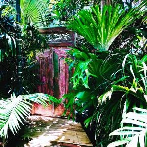 黄金海岸Indigo Charlee的花园,有红色的门和一些植物