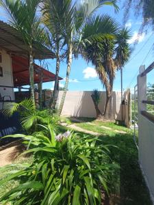 戈亚斯州上帕莱索Hostel do Gui的棕榈树庭院和围栏