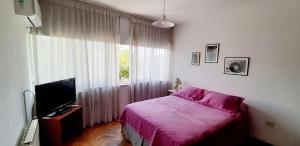 门多萨Emilio Civit的一间卧室设有一张床、一台电视和一个窗口。