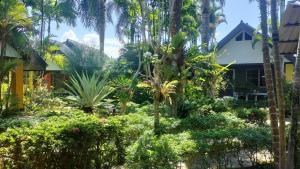 蔻立Sanuk Bungalow的棕榈树屋前的花园