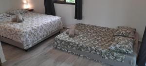 阿瓦托鲁Bungalow Kahaia Lodge的一间卧室设有两张床、一个窗口和床边