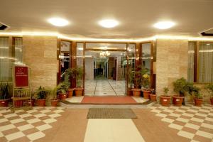 格德拉Hotel Bhawani International的种植盆栽植物的建筑的大厅
