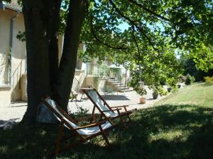 伊居利康门斯庄园酒店的两把椅子坐在草地上树下