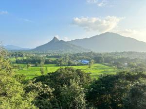 丹不拉Ridge Boundary View的享有山脉背景的田野景色