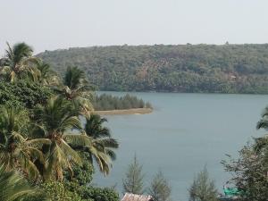 BhogweGovindaashram的享有棕榈树湖泊的美景