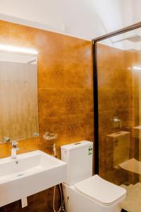 尼甘布Ceylanro Transit Villa的一间带水槽、卫生间和镜子的浴室