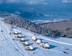 冬天的Glamping Park