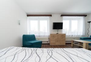 利托米什尔Penzion Bludička的一间卧室配有一张床、一把椅子和电视。