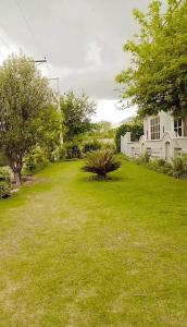 伊斯兰堡Harveys Guest House的绿草成荫的院子