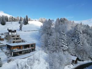 比尔的斯坦Casa Farnach的雪中房屋的空中景观