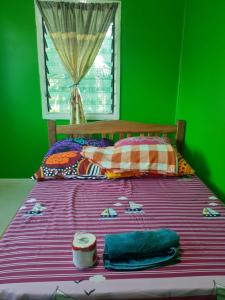 AukiFerafolia Highlands Home Stays的一张带紫色毯子和绿色墙壁的床
