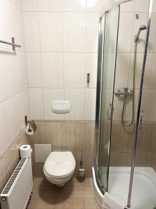 格但斯克劳格斯酒店的带淋浴、卫生间和盥洗盆的浴室