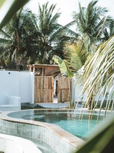 塞隆贝拉纳克Luana Lombok的一座棕榈树环绕的游泳池