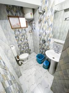 斯利那加HOTEL TOWN PALACE SRINAGAR的一间带卫生间和水槽的浴室