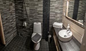 萨利色尔卡Arctic Sky Lapland的浴室配有卫生间、盥洗盆和淋浴。