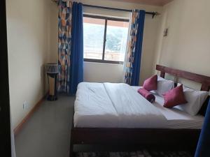 卡巴莱Bunyonyi Lakefront Leisure Lodge的一间卧室配有带粉红色枕头的床和窗户。