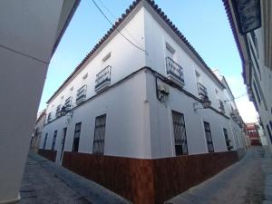 科尔多瓦Casa San Mateo的街道上带铁窗的白色建筑