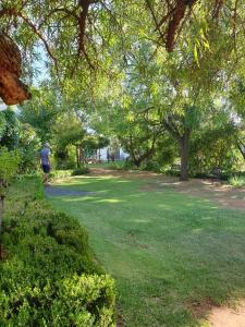 SpringfonteinSpringfontein Guesthouse的在一个树木和草地的公园里散步的人