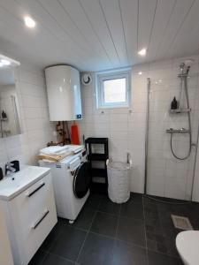 博尔斯塔Bålsta Studio Houses的一间带水槽和淋浴的小浴室