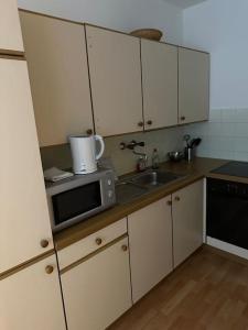 维也纳Apartment4 you的厨房配有水槽和微波炉