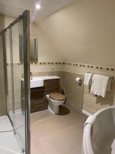 安南The Powfoot Hotel, Annan的浴室配有卫生间、盥洗盆和淋浴。