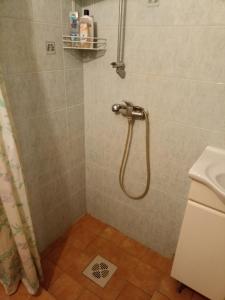 莱西Kuus Tuba的浴室内配有淋浴和头顶淋浴