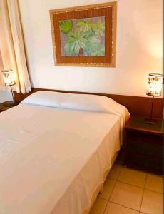 安格拉杜斯雷斯Angra dos Reis - Porto Bali - Apartamento no Complexo Mercur的卧室配有一张床,墙上挂着一幅画