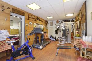 埃维昂莱班天鹅酒店的健身房,提供自行车和健身器材