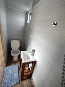 图努扬Sabático Glamping的一间带卫生间和水槽的浴室