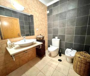 阿托吉亚达巴莱亚Fantastic 3 bedroom Villa - Peniche - Mer&Surf的一间带水槽和卫生间的浴室