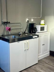 弗加尔巴卡Borgane 5的厨房配有水槽和微波炉
