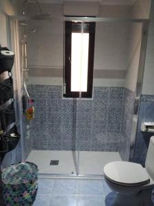 萨拉曼卡VUT Casa Miranda 51的带淋浴、卫生间和窗户的浴室