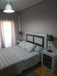 萨拉曼卡VUT Casa Miranda 51的一间卧室配有一张床、两盏灯和一个窗户。