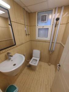塞拉莱الشقة البحرية الدهاريز的一间带水槽和卫生间的小浴室