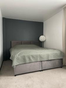 巴尔维Balvi flat的卧室内的一张床位,卧室内有灰色的墙壁
