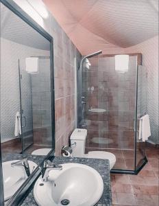 瓦迪拉姆RUM ROYAL FLOWER lUXURY CAMP的一间带水槽、淋浴和卫生间的浴室
